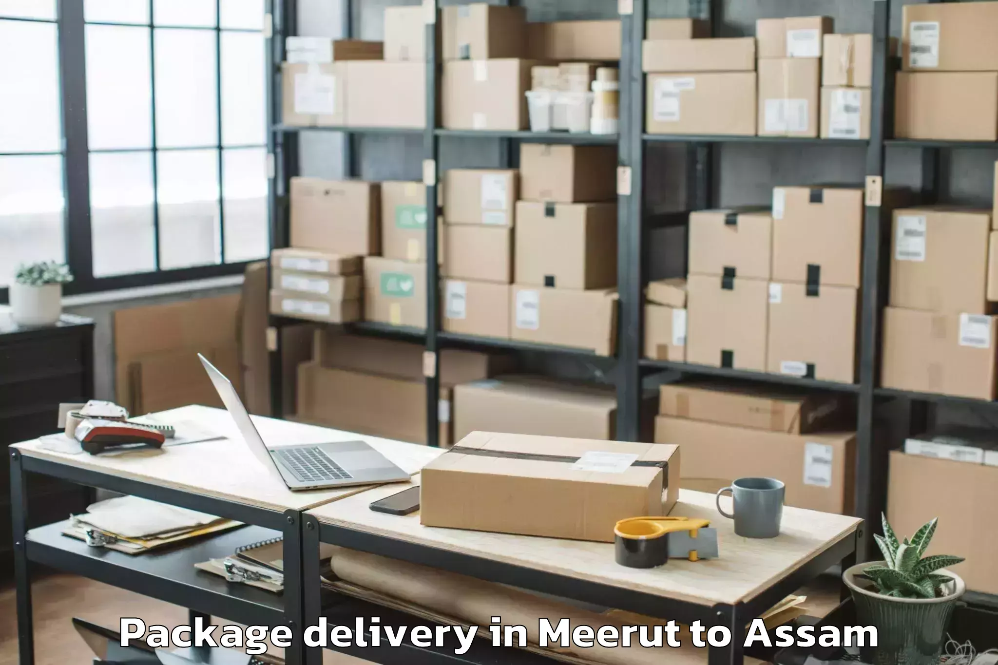 Easy Meerut to Bajali Package Delivery Booking